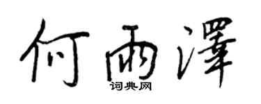 王正良何雨澤行書個性簽名怎么寫