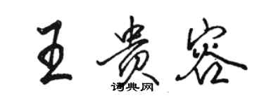 駱恆光王貴容行書個性簽名怎么寫