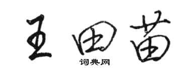 駱恆光王田苗行書個性簽名怎么寫