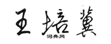 駱恆光王培冀行書個性簽名怎么寫