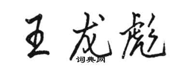 駱恆光王龍彪行書個性簽名怎么寫