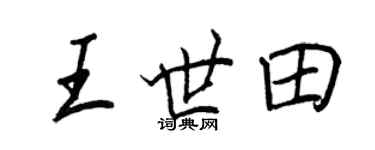 王正良王世田行書個性簽名怎么寫