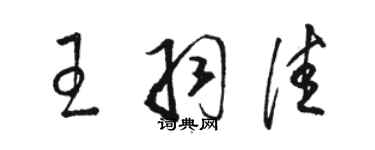 駱恆光王羽佳草書個性簽名怎么寫