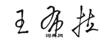 駱恆光王布拉草書個性簽名怎么寫