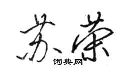 駱恆光蘇榮行書個性簽名怎么寫