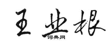 駱恆光王業根行書個性簽名怎么寫