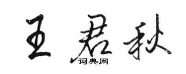 駱恆光王君秋行書個性簽名怎么寫