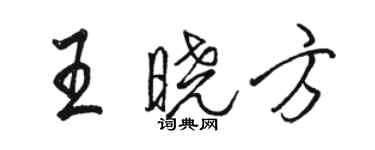 駱恆光王曉方行書個性簽名怎么寫