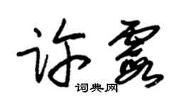 朱錫榮許霞草書個性簽名怎么寫