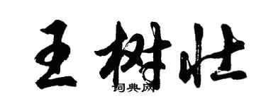 胡問遂王樹壯行書個性簽名怎么寫