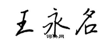 王正良王永名行書個性簽名怎么寫
