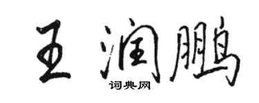 駱恆光王潤鵬行書個性簽名怎么寫