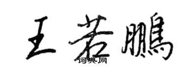 王正良王若鵬行書個性簽名怎么寫