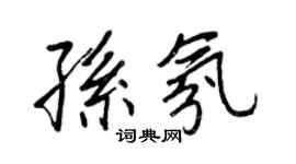 王正良孫氛行書個性簽名怎么寫