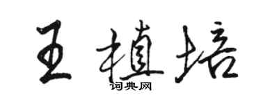駱恆光王植培行書個性簽名怎么寫