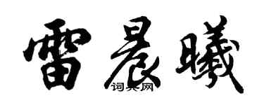 胡問遂雷晨曦行書個性簽名怎么寫