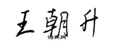 王正良王朝升行書個性簽名怎么寫