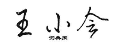 駱恆光王小會行書個性簽名怎么寫