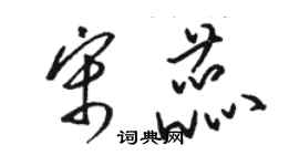 駱恆光宋蕊草書個性簽名怎么寫