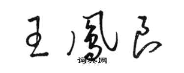 駱恆光王鳳良草書個性簽名怎么寫