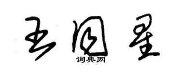 朱錫榮王同星草書個性簽名怎么寫