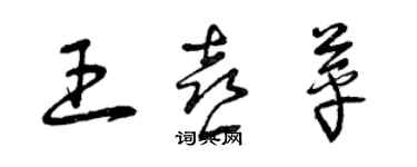 曾慶福王喜苹草書個性簽名怎么寫