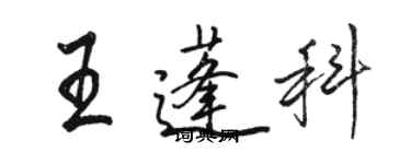 駱恆光王蓬科行書個性簽名怎么寫