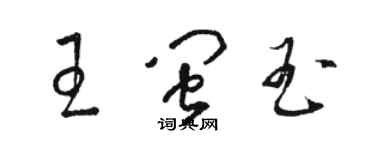 駱恆光王閩玉草書個性簽名怎么寫