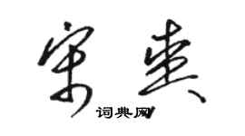 駱恆光宋爽草書個性簽名怎么寫