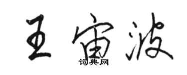 駱恆光王宙波行書個性簽名怎么寫