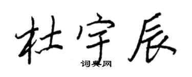王正良杜宇辰行書個性簽名怎么寫