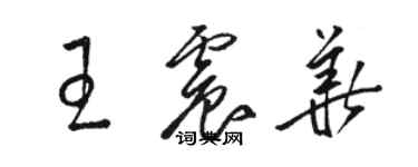 駱恆光王震華草書個性簽名怎么寫