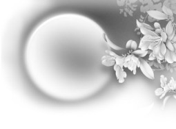 中秋節的約定_中秋節的約定作文