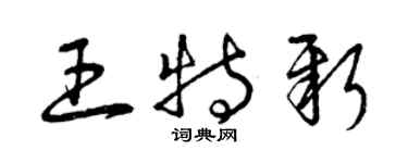 曾慶福王特新草書個性簽名怎么寫