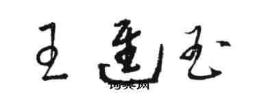 駱恆光王進玉草書個性簽名怎么寫