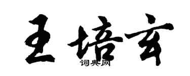 胡問遂王培玄行書個性簽名怎么寫