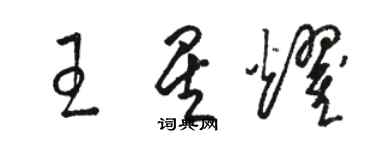 駱恆光王星耀草書個性簽名怎么寫