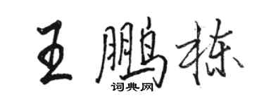駱恆光王鵬棟行書個性簽名怎么寫