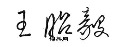 駱恆光王昭毅草書個性簽名怎么寫