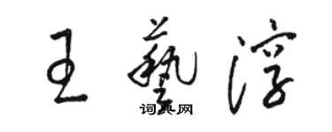 駱恆光王藝淳草書個性簽名怎么寫