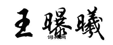 胡問遂王曝曦行書個性簽名怎么寫