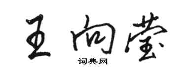 駱恆光王向瑩行書個性簽名怎么寫