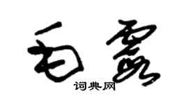 朱錫榮毛霞草書個性簽名怎么寫