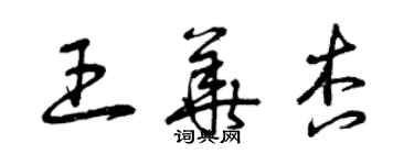 曾慶福王華杏草書個性簽名怎么寫