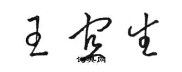 駱恆光王宜生草書個性簽名怎么寫