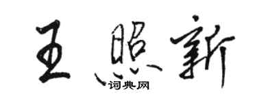 駱恆光王照新行書個性簽名怎么寫