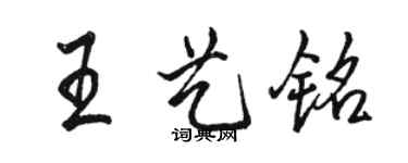 駱恆光王藝銘行書個性簽名怎么寫