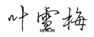 駱恆光葉雪梅行書個性簽名怎么寫