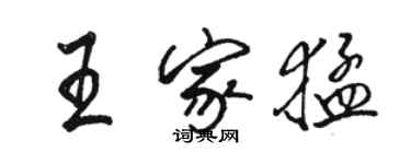 駱恆光王家猛行書個性簽名怎么寫