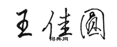 駱恆光王佳圓行書個性簽名怎么寫